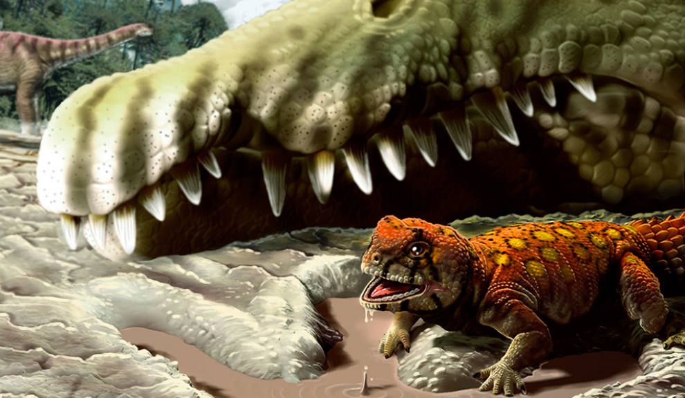 Argentino descubrió el lagarto más antiguo de África - Perfil.com